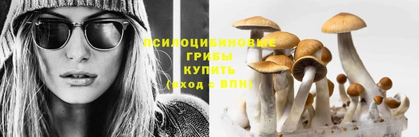гашик Весьегонск