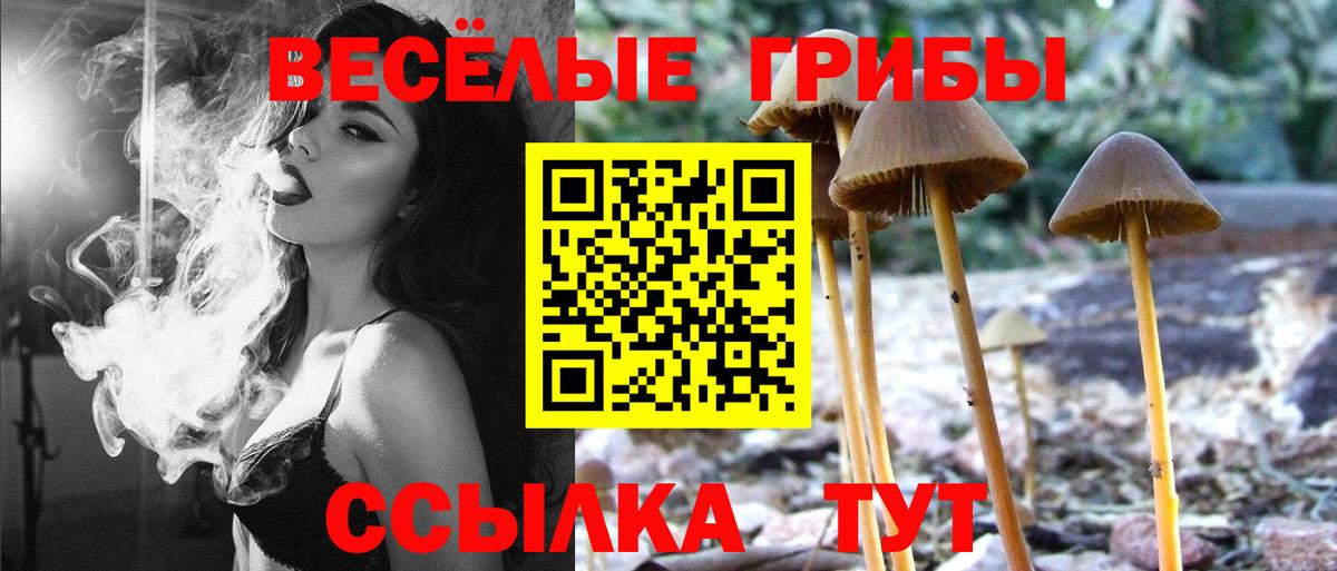 Галлюциногенные грибы Magic Shrooms  Вход с VPN  Псилоцибиновые грибы мухоморы  Отрадное 