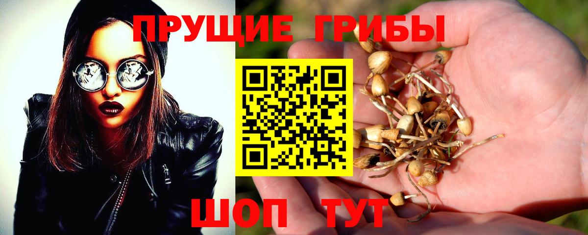 Марихуана Отрадное