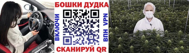 закладка  Отрадное  Каннабис Amnesia 
